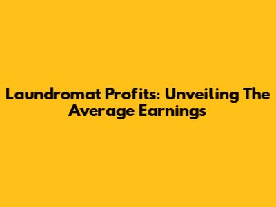 Laundromat Profits: Unveiling The Average Earnings