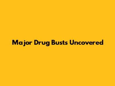 Major Drug Busts Uncovered