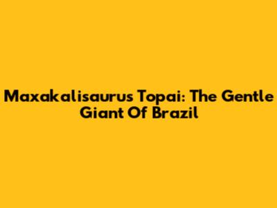 Maxakalisaurus Topai: The Gentle Giant Of Brazil