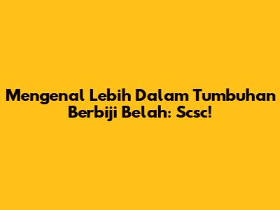 Mengenal Lebih Dalam Tumbuhan Berbiji Belah: Scsc!