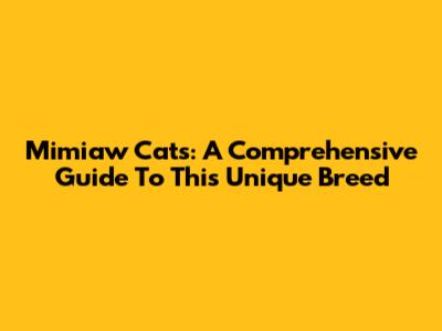 Mimiaw Cats: A Comprehensive Guide To This Unique Breed