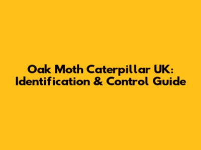 Oak Moth Caterpillar UK: Identification & Control Guide