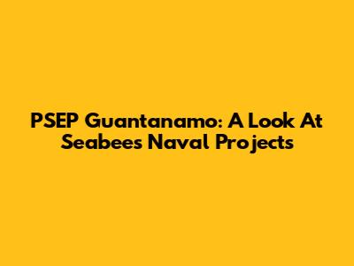 PSEP Guantanamo: A Look At Seabees Naval Projects