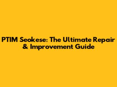 PTIM Seokese: The Ultimate Repair & Improvement Guide