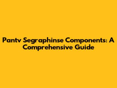 Pantv Segraphinse Components: A Comprehensive Guide