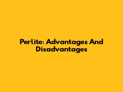 Perlite: Advantages And Disadvantages