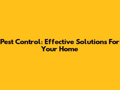 Pest Control: Effective Solutions For Your Home