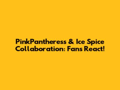 PinkPantheress & Ice Spice Collaboration: Fans React!
