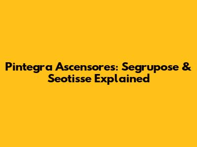 Pintegra Ascensores: Segrupose & Seotisse Explained