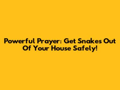 Powerful Prayer: Get Snakes Out Of Your House Safely!