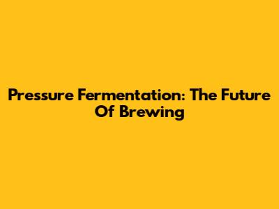 Pressure Fermentation: The Future Of Brewing