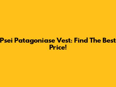 Psei Patagoniase Vest: Find The Best Price!