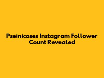 Pseinicose's Instagram Follower Count Revealed