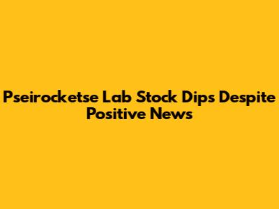 Pseirocketse Lab Stock Dips Despite Positive News