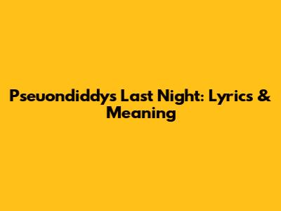 Pseuondiddy's Last Night: Lyrics & Meaning