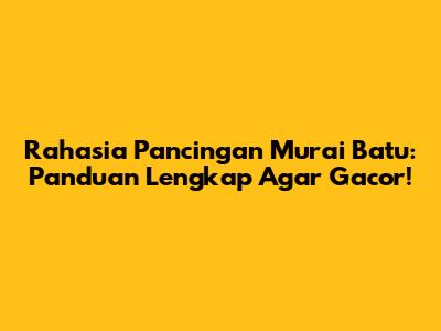 Rahasia Pancingan Murai Batu: Panduan Lengkap Agar Gacor!