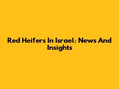 Red Heifers In Israel: News And Insights