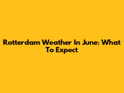 Rotterdam Weather In June: What To Expect