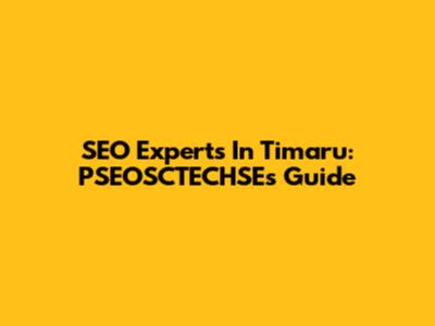 SEO Experts In Timaru: PSEOSCTECHSE's Guide