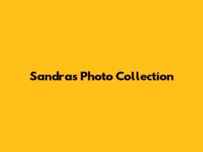 Sandra's Photo Collection