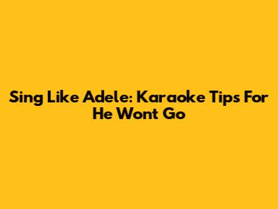 Sing Like Adele: Karaoke Tips For 'He Won't Go'