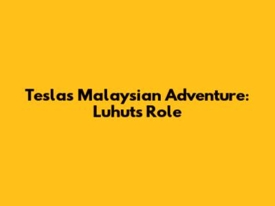 Tesla's Malaysian Adventure: Luhut's Role