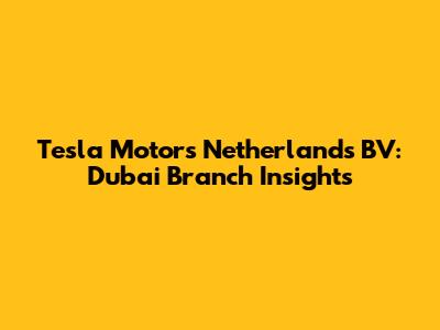 Tesla Motors Netherlands BV: Dubai Branch Insights