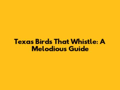 Texas Birds That Whistle: A Melodious Guide