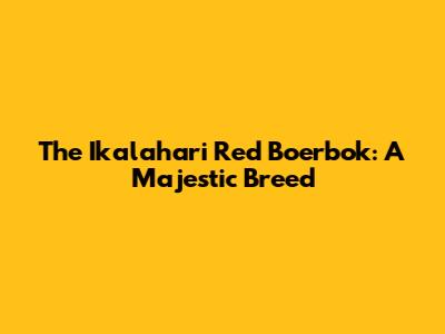 The Ikalahari Red Boerbok: A Majestic Breed