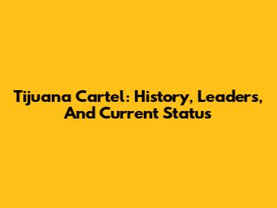 Tijuana Cartel: History, Leaders, And Current Status