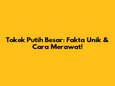 Tokek Putih Besar: Fakta Unik & Cara Merawat!