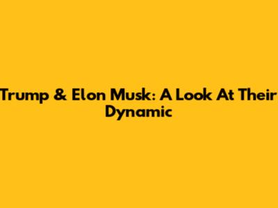 Trump & Elon Musk: A Look At Their Dynamic