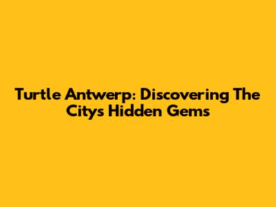 Turtle Antwerp: Discovering The City's Hidden Gems