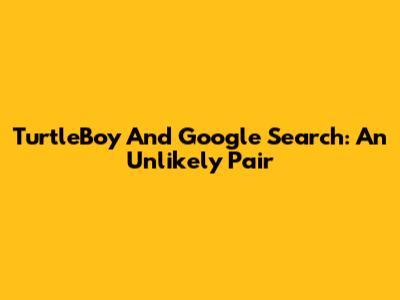 TurtleBoy And Google Search: An Unlikely Pair