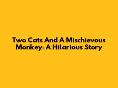 Two Cats And A Mischievous Monkey: A Hilarious Story