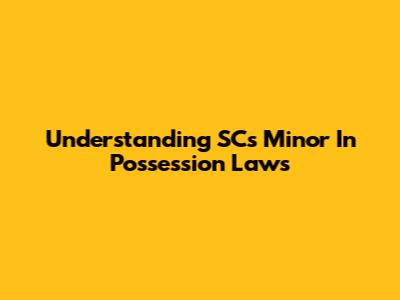 Understanding SC's Minor In Possession Laws