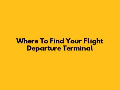 Where To Find Your Flight Departure Terminal