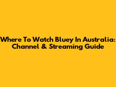Where To Watch Bluey In Australia: Channel & Streaming Guide