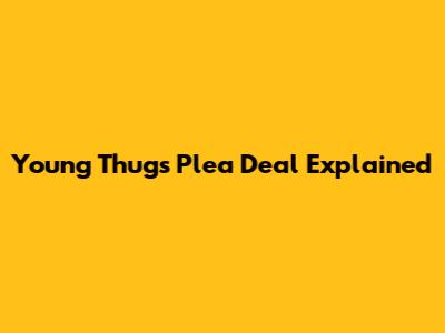 Young Thug's Plea Deal Explained